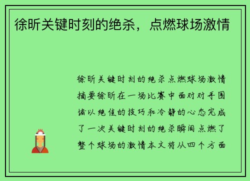 徐昕关键时刻的绝杀，点燃球场激情